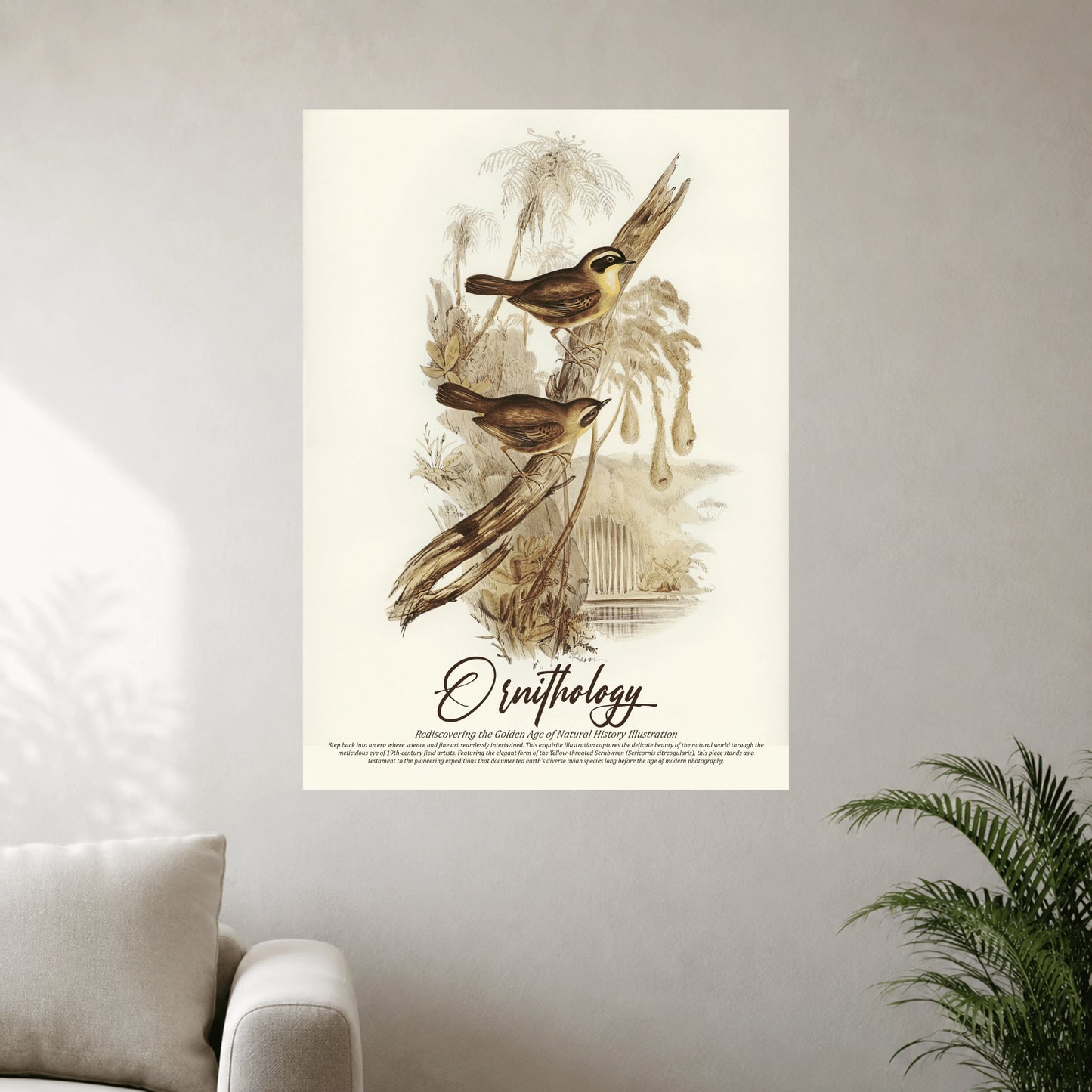 Ornithology | Vintage Bird Wall Poster | 1 Poster
