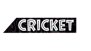 Cricket